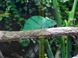 Haus des Meeres 13.03.2026